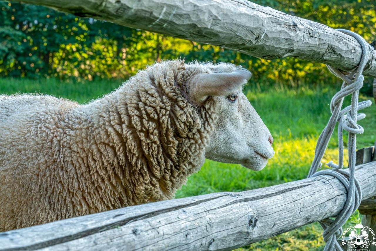 Agroturystyka Corno Owca Zabnica 외부 사진